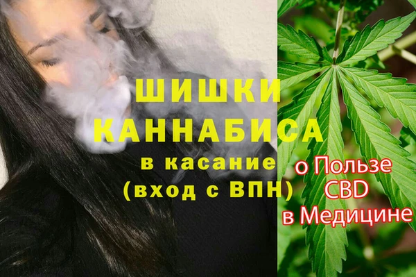 шишки Абдулино