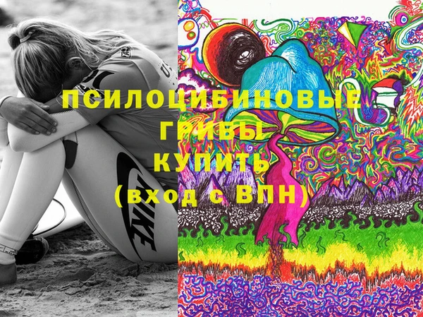 гашик Абинск