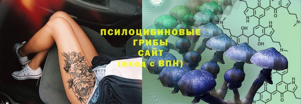 шишки Абдулино