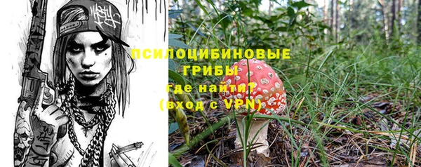 гашик Абинск